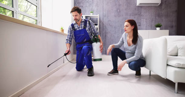 Best Real Estate Pest Inspections  in Amboy, IL